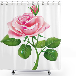 Personality  Beautiful Pink Rose Shower Curtains
