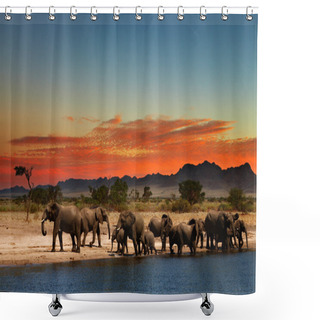 Personality  Herd Of Elephants In African Savanna Shower Curtains