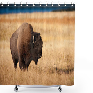 Personality  Bison Shower Curtains