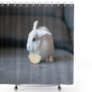 Personality  Small Domestic Lop White Rabbit Long-eared Posing Shower Curtains