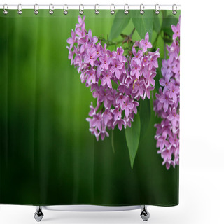 Personality  Lilacs In Spring Shower Curtains