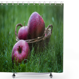 Personality  Fresh Picked Red Apples Shower Curtains