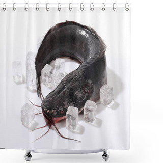 Personality  Fish Clarius, Fresh Catfish On Ice Shower Curtains