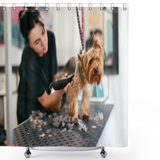 Personality  Pet Grooming Salon. Dog Getting Hair Cut At Animal Spa Salon Shower Curtains