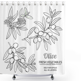 Personality  Olive Branches Vector Set Shower Curtains
