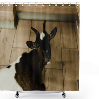 Personality  Cute Goat Looking At Camera In Zoo  Shower Curtains