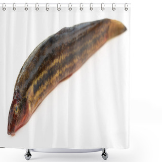 Personality  Annaldale Loach Shower Curtains