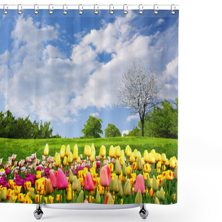 Personality  Springtime Tulips Shower Curtains