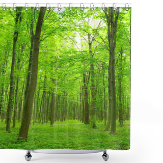 Personality  Trees In A Green Forest In Spring Shower Curtains