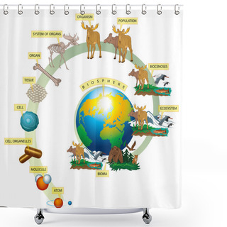 Personality  Living World Shower Curtains