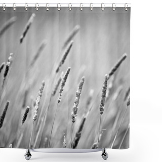 Personality  Reeds Blowing, Rural Setting Shower Curtains