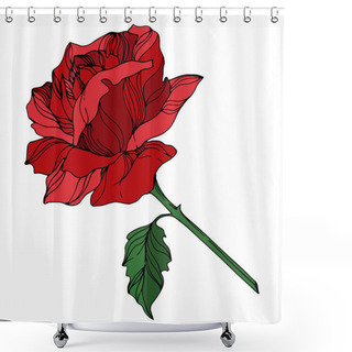 Personality  Vector Rose Floral Botanical Flowers. Black And White Engraved Ink Art. Isolated Roses Illustration Element. Shower Curtains