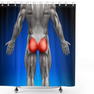 Personality  Glutes Gluteus Maximus - Anatomy Muscles Shower Curtains