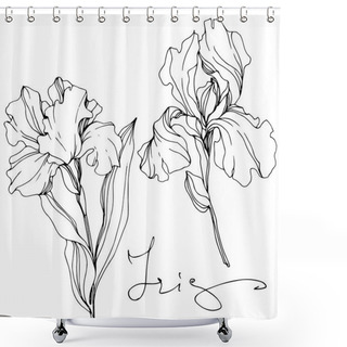 Personality  Vector Irises Isolated On White. Black And White Engraved Ink Art With 'iris' Lettering Shower Curtains