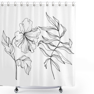 Personality  Vector Tropical Floral Botanical Flower. Black And White Engraved Ink Art. Isolated Flowers Illustration Element. Shower Curtains