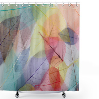 Personality  Skeleton Leaves Background Shower Curtains