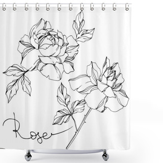 Personality  Vector Black And White Roses With Leaves Illustration Elements Shower Curtains