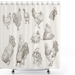 Personality  Chicken Breeding Shower Curtains
