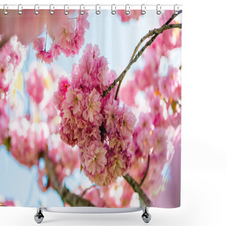 Personality  Selective Focus Of Pink Flowers On Branches Of Cherry Blossom Tree  Shower Curtains