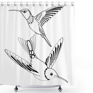Personality  Vector Birds In Black And White Shower Curtains