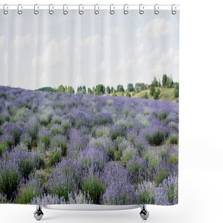 Personality  Meadow With Flowering Lavender Under Cloudy Sky Shower Curtains