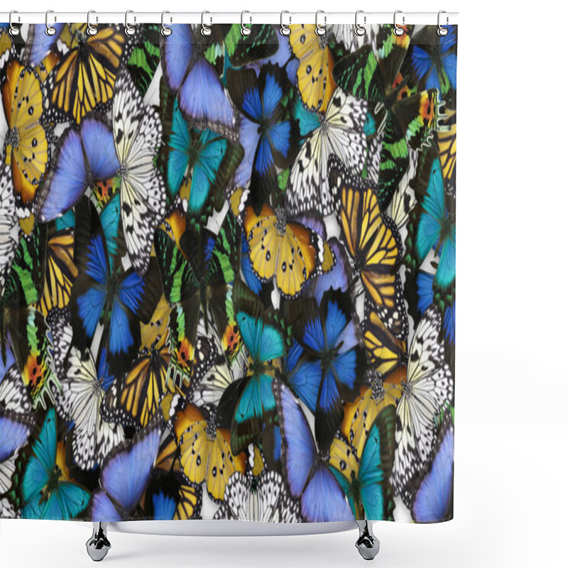 Personality  Many Different Bright Butterflies As Background. Beautiful Insect Shower Curtains