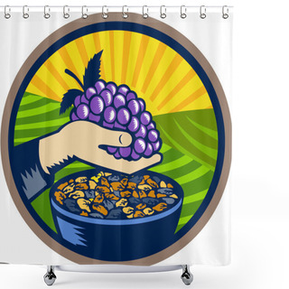Personality  Hand Holding Grapes Raisins Oval Woodcut Shower Curtains
