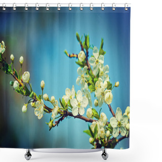 Personality  Blossoming Cherry Tree Shower Curtains