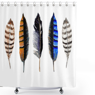 Personality  Watercolor Striped Feathers Shower Curtains