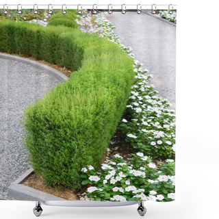 Personality  Beautiful Design Of The Yard. Blooming Flower Beds And Hedges. Flowers And Ornamental Shrubs In The Yard. Shower Curtains