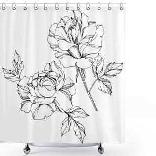 Personality  Vector Black And White Roses With Leaves Illustration Elements Shower Curtains