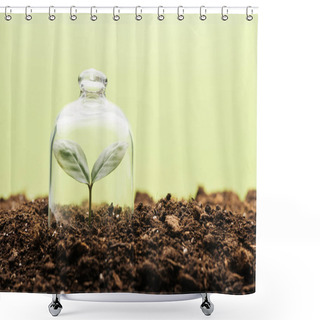 Personality  Small Green Plant Covered Under Bell Jar Isolated On Green Shower Curtains