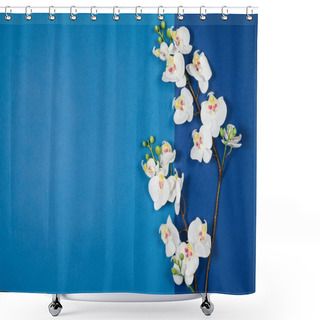 Personality  Colorful Paper Background With Texture. Blue Colors With Copy Space Shower Curtains