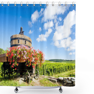 Personality  Vineyards Of Cote De Beaune Near Pommard, Burgundy, France Shower Curtains