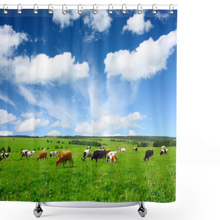 Personality  Cows Shower Curtains