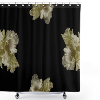 Personality  Close-up View Of Tender Yellow Gladioli Flowers Isolated On Black Background  Shower Curtains