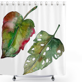 Personality  Exotic Tropical Green Palm Isolated Leaves. Watercolor Background Illustration. Shower Curtains