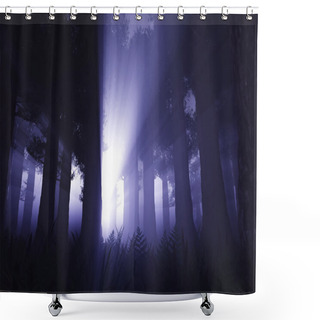 Personality  Supernatural Scene In Dark Deep Forest 3D Render Shower Curtains