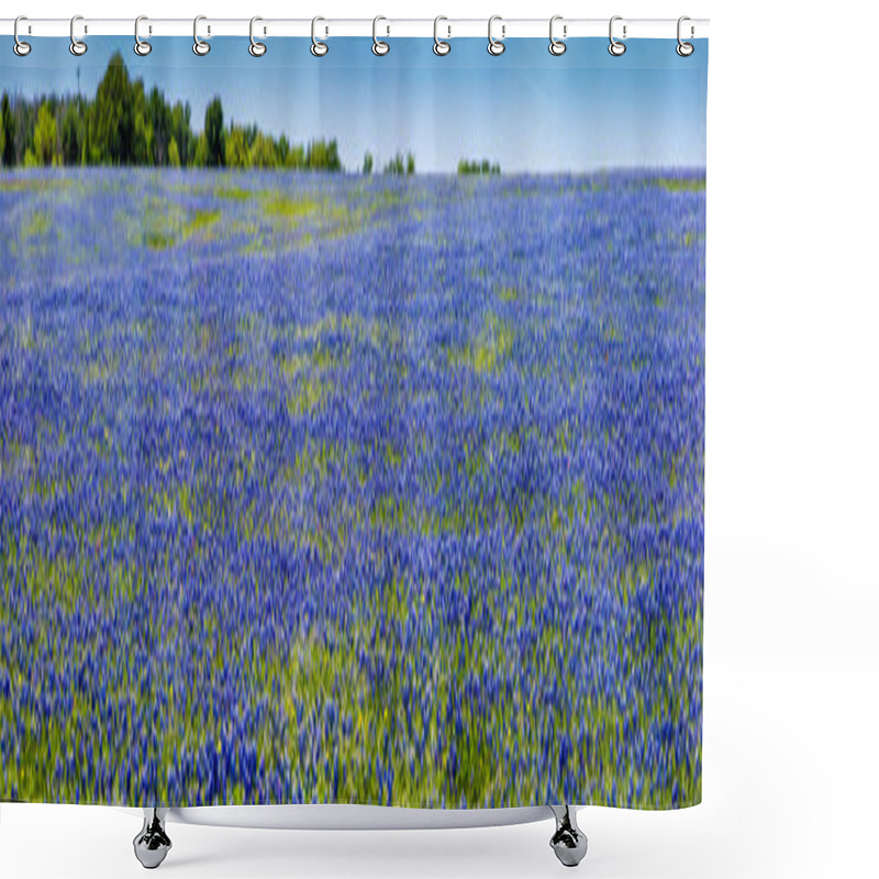 Personality  A Wide Angle High Resolution Panoramic View of Texas Wildflowers. shower curtains