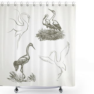 Personality  Stork. Vector Drawing Shower Curtains