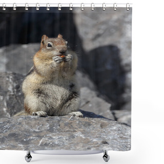 Personality  Ground Squirrel In Canada Shower Curtains