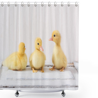 Personality  Duckling  On White Wooden Background Shower Curtains