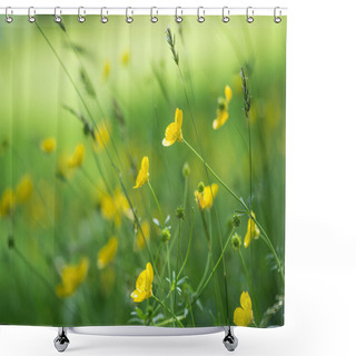 Personality  Close Up Image Of Vibrant Buttercups In Wildflower Meadow Landsc Shower Curtains