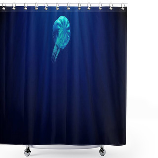 Personality  Luminous Transparent Jellyfish Slowly Floats Deep Under Water In The Rays Of Light. Bioluminescent Pattern On The Body Shimmers With All The Colors Of The Rainbow 3d Render Uhd 4k 3840 2160 Shower Curtains