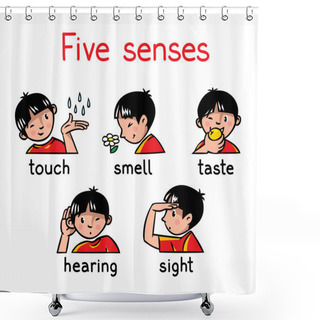 Personality  Five Senses Icon Set Shower Curtains