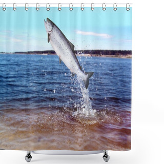 Personality  Jumping Out From Water Salmon Shower Curtains