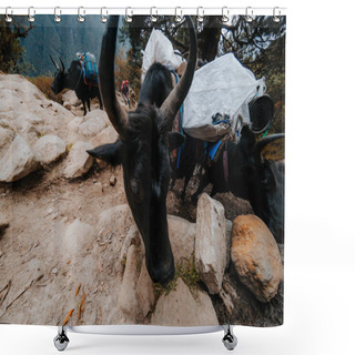 Personality  View Of Bulls With Weight Bags In Mountainous Landscape Shower Curtains