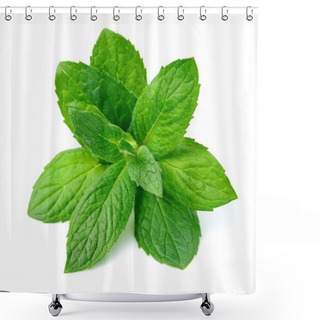 Personality  Mint Leaf  Shower Curtains
