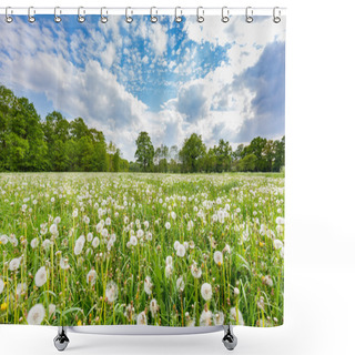 Personality  Overblown Dandelions In Meadow With Blue Sky And Clouds Shower Curtains