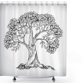 Personality  Hand Drawn Tree Symbol Shower Curtains